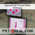 Africa Black Ant Capsule 32